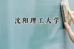 2024沈阳理工大学录取分数线：云南最低463分
