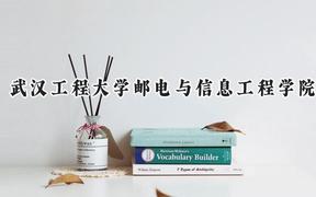 2024武汉工程大学邮电与信息工程学院录取分数线：云南最低431分