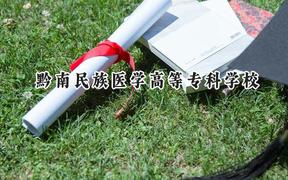 2024黔南民族医学高等专科学校录取分数线：云南最低360分