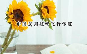 2024中国民用航空飞行学院录取分数线：河南最低455分