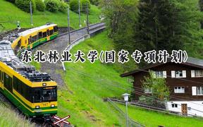 2024东北林业大学(国家专项计划)录取分数线：陕西最低470分