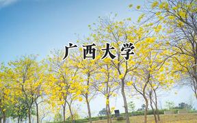 2024广西大学录取分数线：陕西最低510分