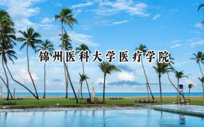 2024锦州医科大学医疗学院录取分数线：云南最低428分