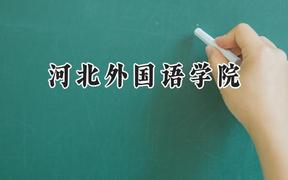 2024河北外国语学院录取分数线：云南最低425分