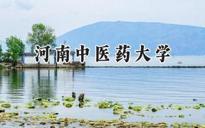 2024河南中医药大学录取分数线：云南最低506分