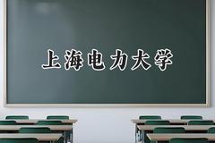 2024上海电力大学录取分数线：云南最低553分
