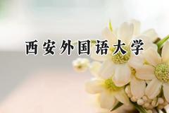 2024西安外国语大学录取分数线：陕西最低478分