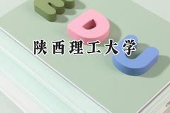 2024陕西理工大学录取分数线：云南最低507分