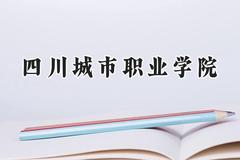 2024四川城市职业学院录取分数线：河南最低168分