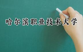 2024哈尔滨职业技术大学录取分数线：陕西最低358分