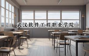 2024武漢軟件工程職業(yè)學院錄取分數(shù)線：河南最低393分
