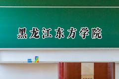 2024黑龙江东方学院录取分数线：陕西最低392分