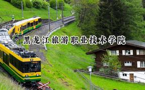 2024黑龙江旅游职业技术学院录取分数线：陕西最低250分