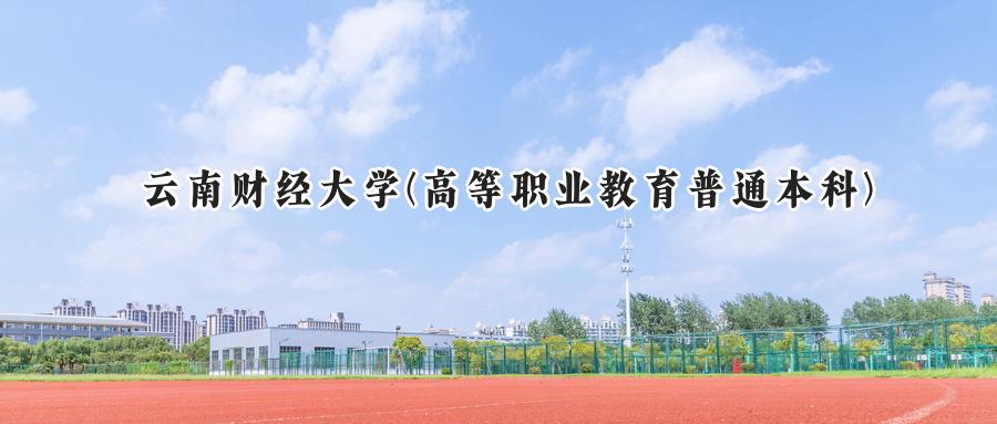云南财经大学(高等职业教育普通本科)