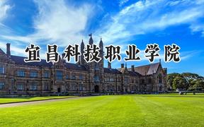2024宜昌科技职业学院录取分数线：云南最低265分