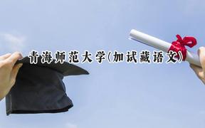 2024青海师范大学(加试藏语文)录取分数线：云南最低351分