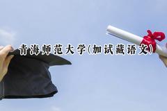 2024青海师范大学(加试藏语文)录取分数线：云南最低351分