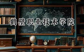 2024鹤壁职业技术学院录取分数线：云南最低284分