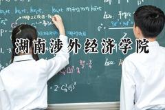 2024湖南涉外经济学院录取分数线：云南最低400分