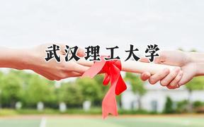 2024武漢理工大學錄取分數(shù)線：河南最低581分
