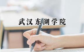 2024武汉东湖学院录取分数线：河南最低214分