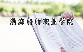2024渤海船舶职业学院录取分数线：云南最低287分