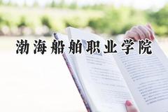 2024渤海船舶职业学院录取分数线：云南最低287分