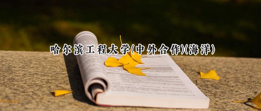 哈尔滨工程大学(中外合作)(海洋)