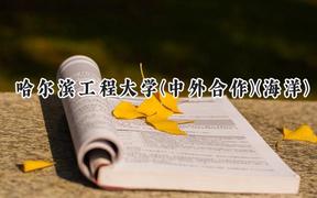 2024哈尔滨工程大学(中外合作)(海洋)录取分数线：陕西最低594分