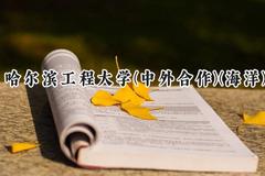 2024哈尔滨工程大学(中外合作)(海洋)录取分数线：陕西最低594分