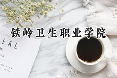 2024铁岭卫生职业学院录取分数线：云南最低202分