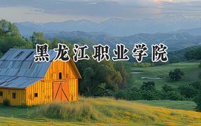 2024黑龙江职业学院录取分数线：云南最低288分