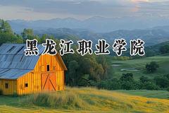 2024黑龙江职业学院录取分数线：云南最低288分