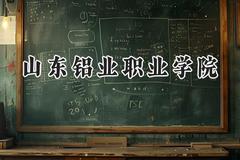 2024山东铝业职业学院录取分数线：河南最低240分