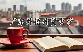 2024广东外语外贸大学录取分数线：云南最低509分