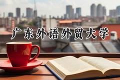 2024广东外语外贸大学录取分数线：云南最低509分