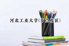 2024河北工业大学(芬兰校区)录取分数线：河南最低571分