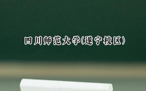 2024四川师范大学(遂宁校区)录取分数线：云南最低505分