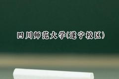 2024四川师范大学(遂宁校区)录取分数线：云南最低505分