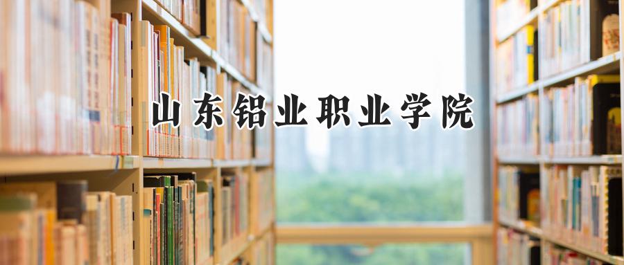 山东铝业职业学院