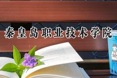 2024秦皇岛职业技术学院录取分数线：云南最低248分