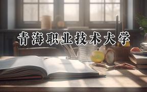 2024青海职业技术大学录取分数线：云南最低333分