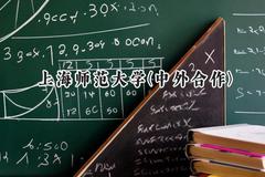 2024上海师范大学(中外合作)录取分数线：河南最低522分