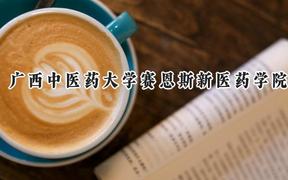 2024广西中医药大学赛恩斯新医药学院录取分数线：陕西最低431分