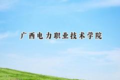 2024广西电力职业技术学院录取分数线：云南最低280分