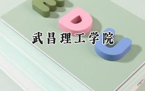 2024武昌理工学院录取分数线：云南最低430分