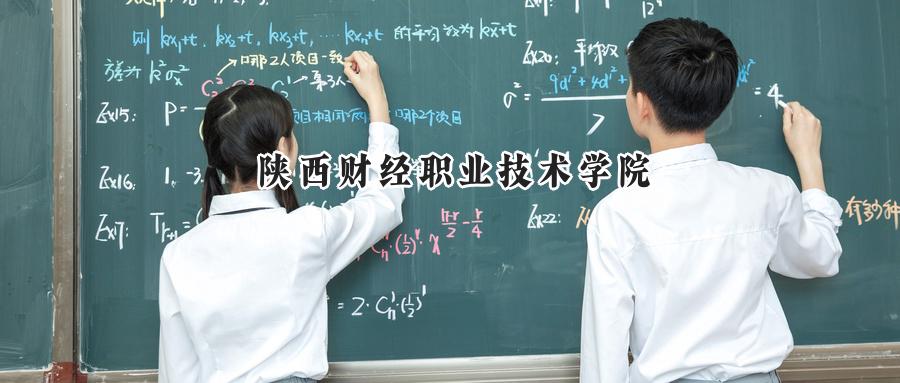 陕西财经职业技术学院
