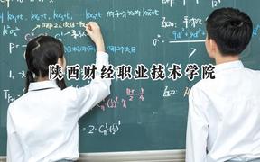 2024陕西财经职业技术学院录取分数线：云南最低357分