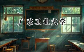 2024广东工业大学录取分数线：河南最低558分