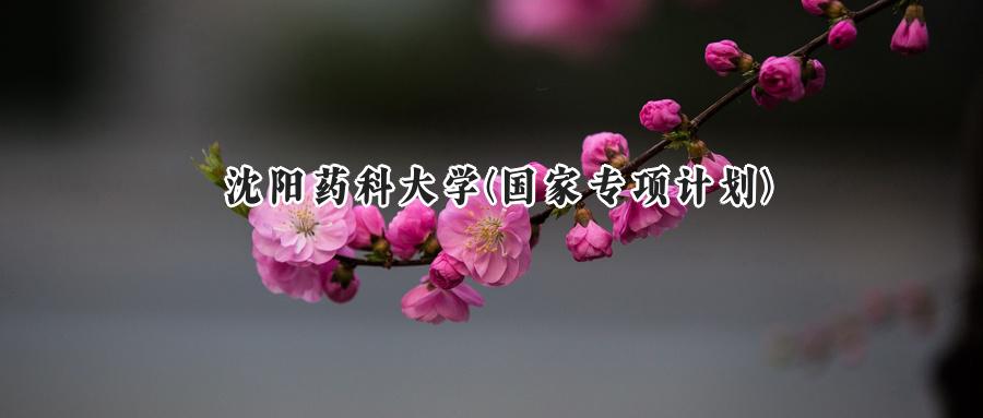 沈阳药科大学(国家专项计划)